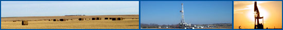 Majestic Land Services Ltd.